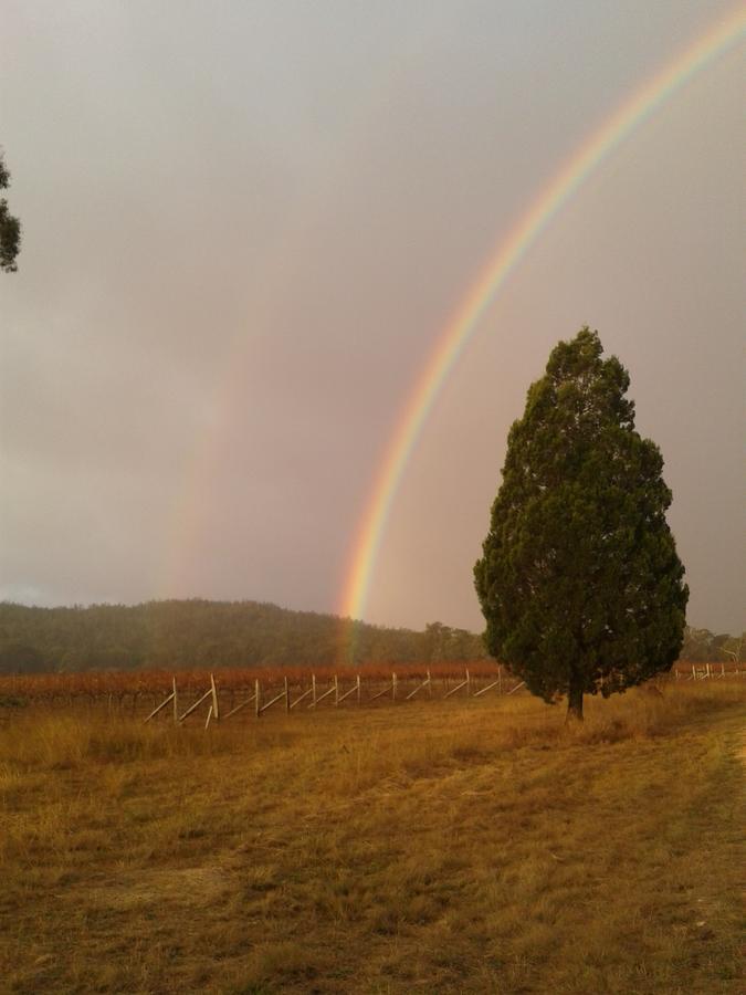 Villa Whiskey Gully Wines Stanthorpe Esterno foto